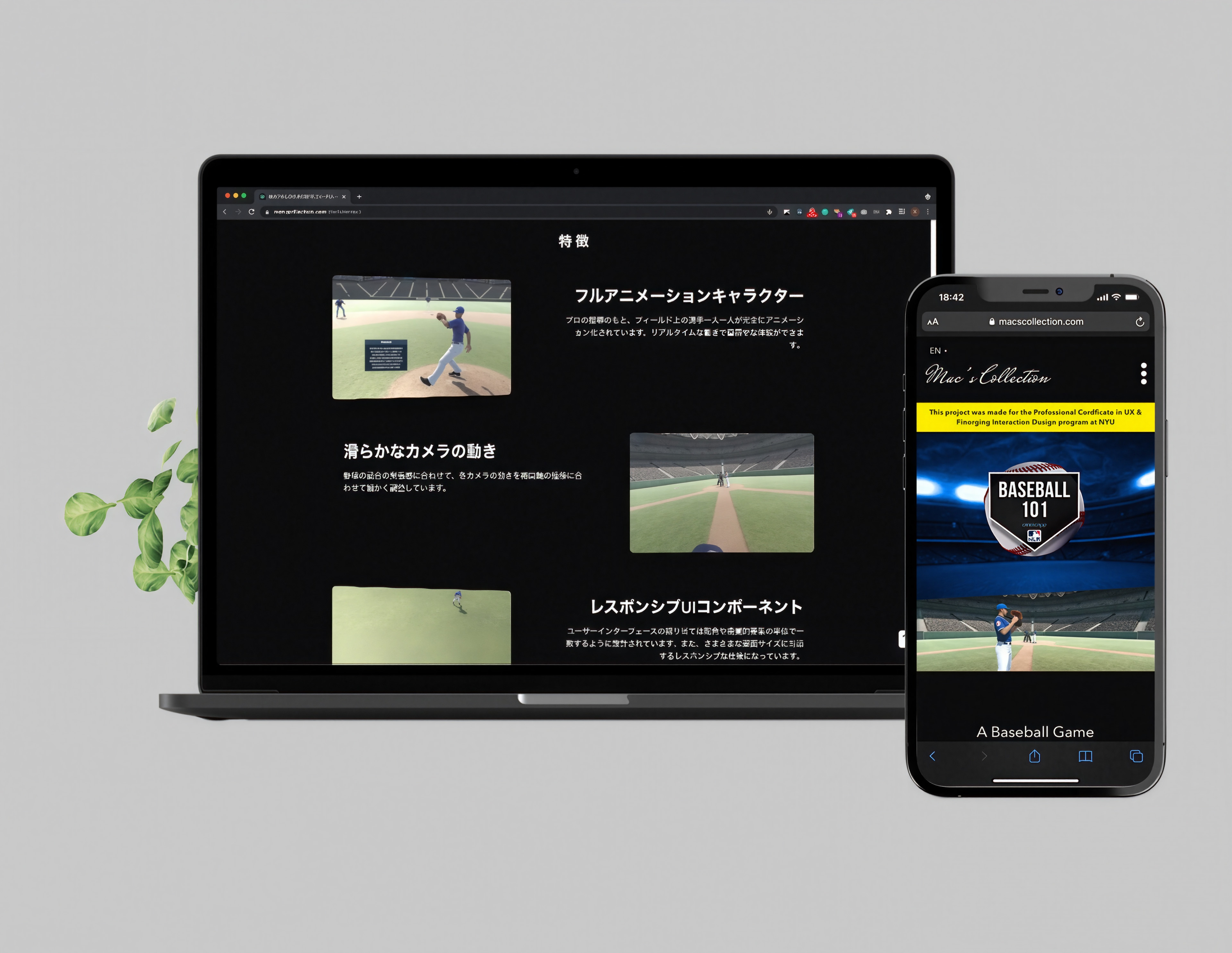 MacsCollection — case study image